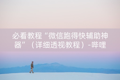 必看教程“微信跑得快辅助神器”（详细透视教程）-哔哩哔哩