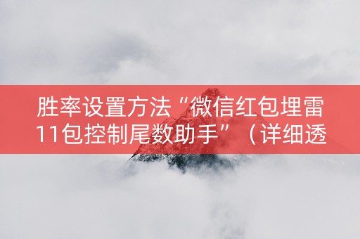 胜率设置方法“微信红包埋雷11包控制尾数助手”（详细透视教程）-哔哩哔哩