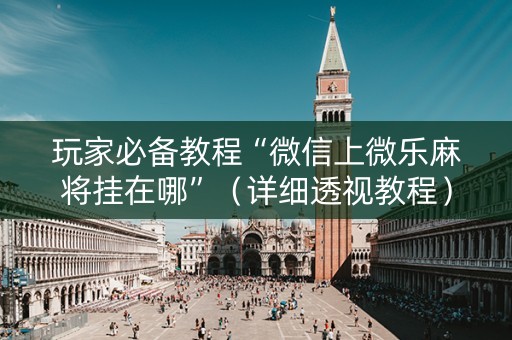 玩家必备教程“微信上微乐麻将挂在哪”（详细透视教程）-哔哩哔哩