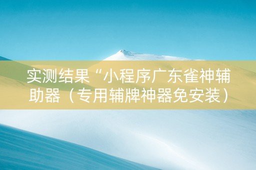 实测结果“小程序广东雀神辅助器（专用辅牌神器免安装）