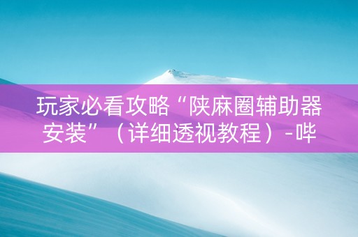 玩家必看攻略“陕麻圈辅助器安装”（详细透视教程）-哔哩哔哩