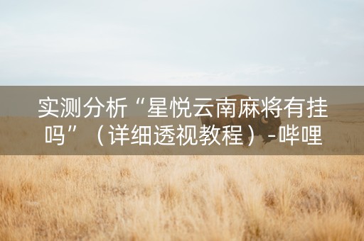 实测分析“星悦云南麻将有挂吗”（详细透视教程）-哔哩哔哩