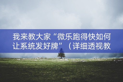 我来教大家“微乐跑得快如何让系统发好牌”（详细透视教程）-哔哩哔哩