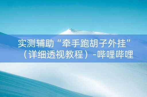 实测辅助“牵手跑胡子外挂”（详细透视教程）-哔哩哔哩