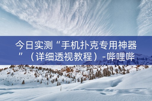 今日实测“手机扑克专用神器”（详细透视教程）-哔哩哔哩
