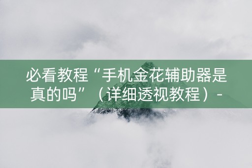 必看教程“手机金花辅助器是真的吗”（详细透视教程）-哔哩哔哩