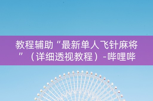 教程辅助“最新单人飞针麻将”（详细透视教程）-哔哩哔哩