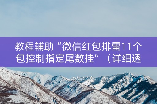 教程辅助“微信红包排雷11个包控制指定尾数挂”（详细透视教程）-哔哩哔哩