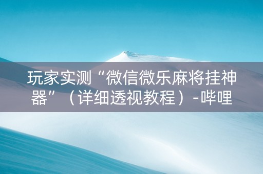 玩家实测“微信微乐麻将挂神器”（详细透视教程）-哔哩哔哩