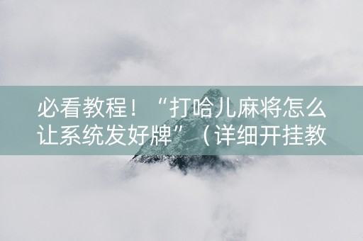 必看教程！“打哈儿麻将怎么让系统发好牌”（详细开挂教程）-哔哩哔哩