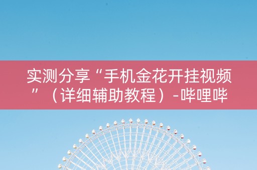实测分享“手机金花开挂视频”（详细辅助教程）-哔哩哔哩
