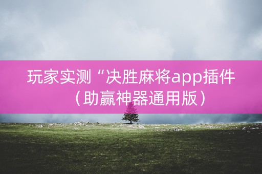 玩家实测“决胜麻将app插件（助赢神器通用版）