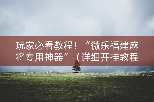 玩家必看教程！“微乐福建麻将专用神器”（详细开挂教程）-哔哩哔哩