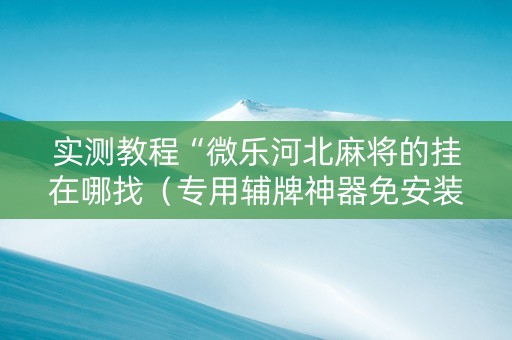 实测教程“微乐河北麻将的挂在哪找（专用辅牌神器免安装）