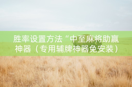 胜率设置方法“中至麻将助赢神器（专用辅牌神器免安装）