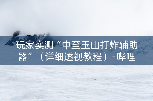 玩家实测“中至玉山打炸辅助器”（详细透视教程）-哔哩哔哩