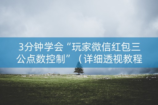 3分钟学会“玩家微信红包三公点数控制”（详细透视教程）-哔哩哔哩