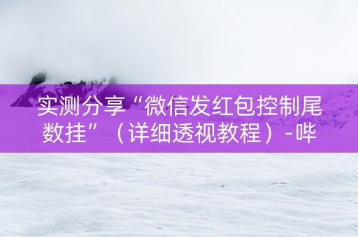 实测分享“微信发红包控制尾数挂”（详细透视教程）-哔哩哔哩