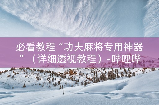 必看教程“功夫麻将专用神器”（详细透视教程）-哔哩哔哩