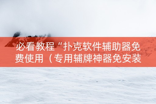 必看教程“扑克软件辅助器免费使用（专用辅牌神器免安装）