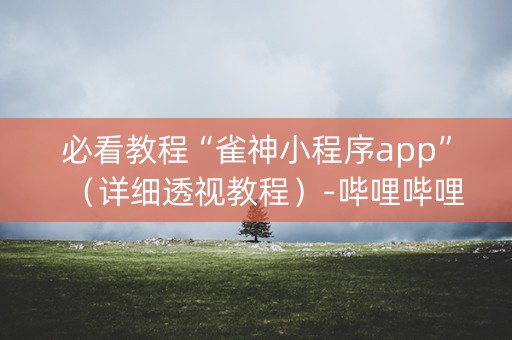 必看教程“雀神小程序app”（详细透视教程）-哔哩哔哩