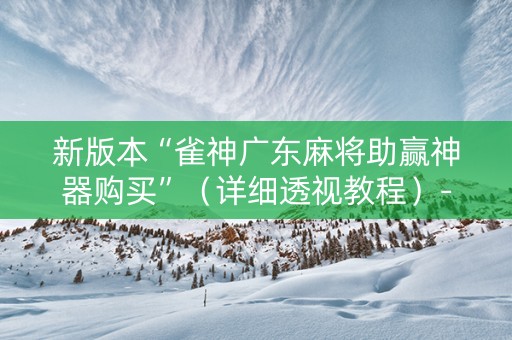 新版本“雀神广东麻将助赢神器购买”（详细透视教程）-哔哩哔哩