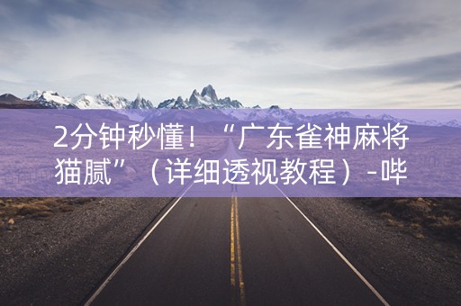 2分钟秒懂！“广东雀神麻将猫腻”（详细透视教程）-哔哩哔哩