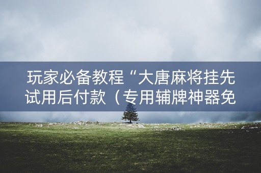 玩家必备教程“大唐麻将挂先试用后付款（专用辅牌神器免安装）