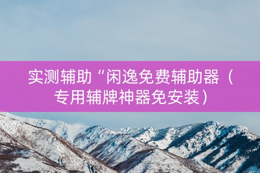 实测辅助“闲逸免费辅助器（专用辅牌神器免安装）
