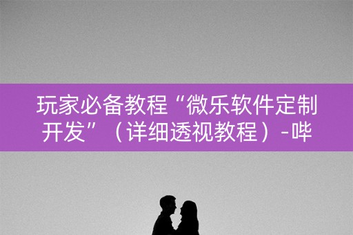 玩家必备教程“微乐软件定制开发”（详细透视教程）-哔哩哔哩