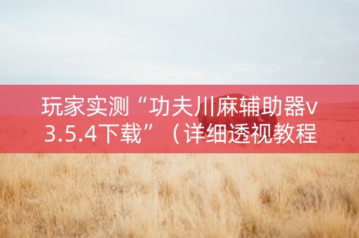 玩家实测“功夫川麻辅助器v3.5.4下载”（详细透视教程）-哔哩哔哩