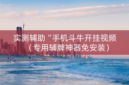 实测辅助“手机斗牛开挂视频（专用辅牌神器免安装）