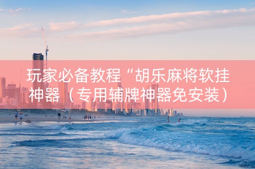 玩家必备教程“胡乐麻将软挂神器（专用辅牌神器免安装）