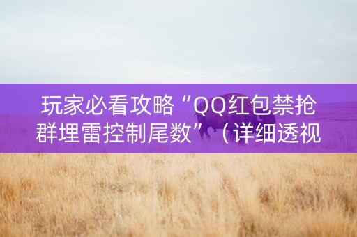 玩家必看攻略“QQ红包禁抢群埋雷控制尾数”（详细透视教程）-哔哩哔哩