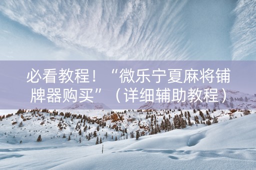 必看教程！“微乐宁夏麻将铺牌器购买”（详细辅助教程）-哔哩哔哩