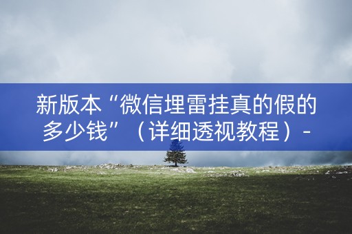 新版本“微信埋雷挂真的假的多少钱”（详细透视教程）-哔哩哔哩