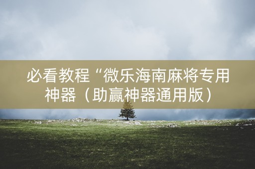 必看教程“微乐海南麻将专用神器（助赢神器通用版）