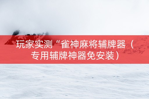 玩家实测“雀神麻将辅牌器（专用辅牌神器免安装）