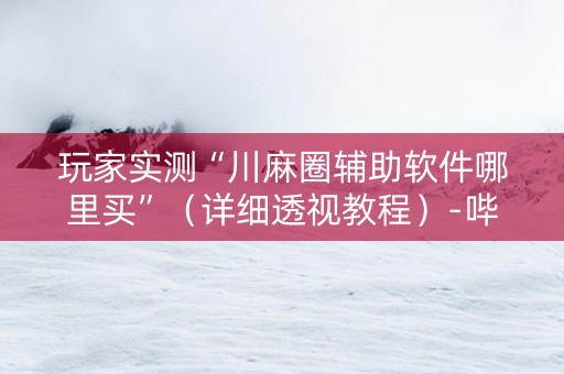 玩家实测“川麻圈辅助软件哪里买”（详细透视教程）-哔哩哔哩