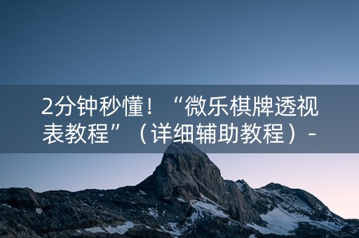 2分钟秒懂！“微乐棋牌透视表教程”（详细辅助教程）-哔哩哔哩