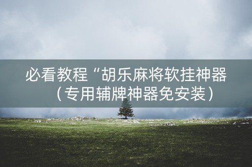必看教程“胡乐麻将软挂神器（专用辅牌神器免安装）