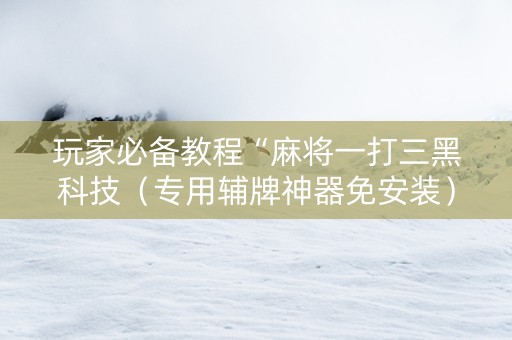 玩家必备教程“麻将一打三黑科技（专用辅牌神器免安装）