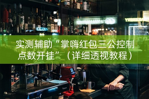 实测辅助“掌嗨红包三公控制点数开挂”（详细透视教程）-哔哩哔哩