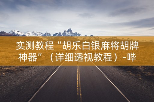 实测教程“胡乐白银麻将胡牌神器”（详细透视教程）-哔哩哔哩