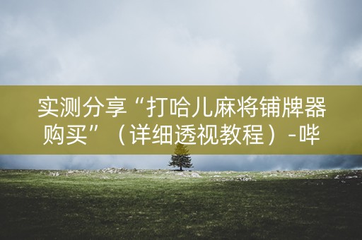 实测分享“打哈儿麻将铺牌器购买”（详细透视教程）-哔哩哔哩