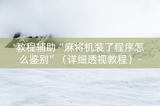 教程辅助“麻将机装了程序怎么鉴别”（详细透视教程）-哔哩哔哩