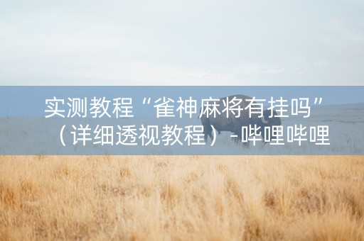 实测教程“雀神麻将有挂吗”（详细透视教程）-哔哩哔哩