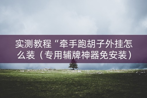 实测教程“牵手跑胡子外挂怎么装（专用辅牌神器免安装）