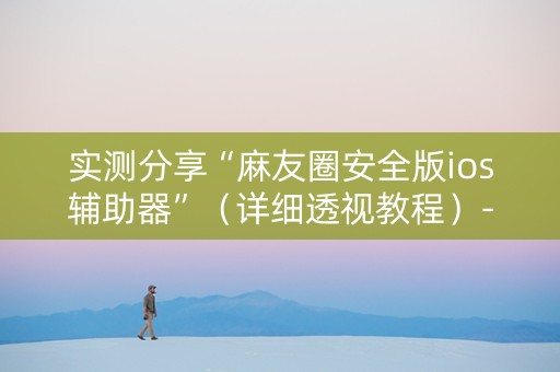 实测分享“麻友圈安全版ios辅助器”（详细透视教程）-哔哩哔哩