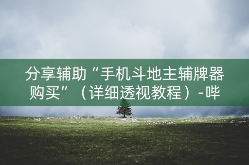 分享辅助“手机斗地主辅牌器购买”（详细透视教程）-哔哩哔哩
